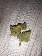 Mouss H. review photo