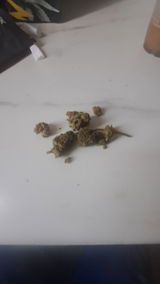 Anonyme review photo