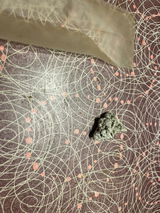Peta review photo