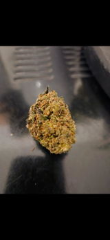 JR review photo