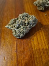 Morgan L. review photo