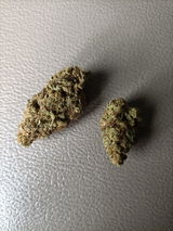 J59 review photo
