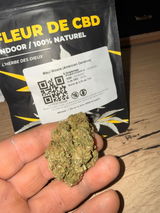 Jb review photo
