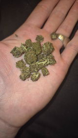 Anto review photo