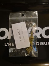 Morgan L. review photo