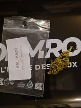 Morgan L. review photo