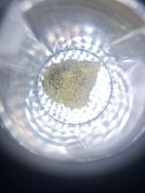 Basst review photo