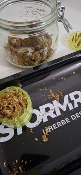 ERWAN G. review photo