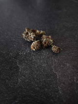 Anonyme review photo