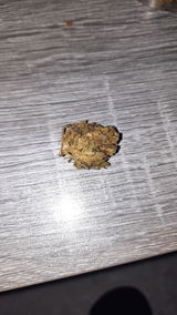 Pascal B. review photo