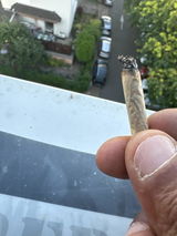 zepequenio67 review photo