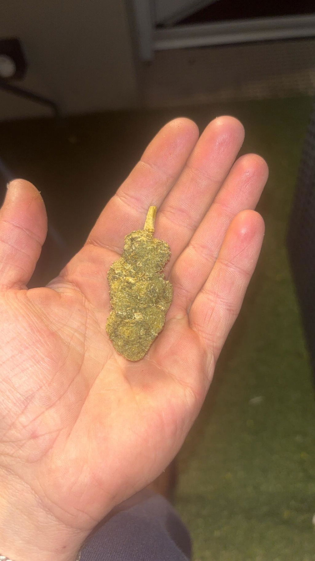 TROPICAL KUSH
