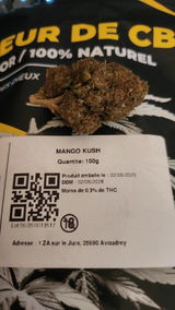 MASTERDAVE review photo