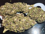 Antonio V. review photo