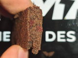 Antonio V. review photo
