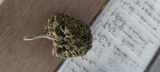 Anonyme review photo