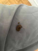 Anonyme review photo