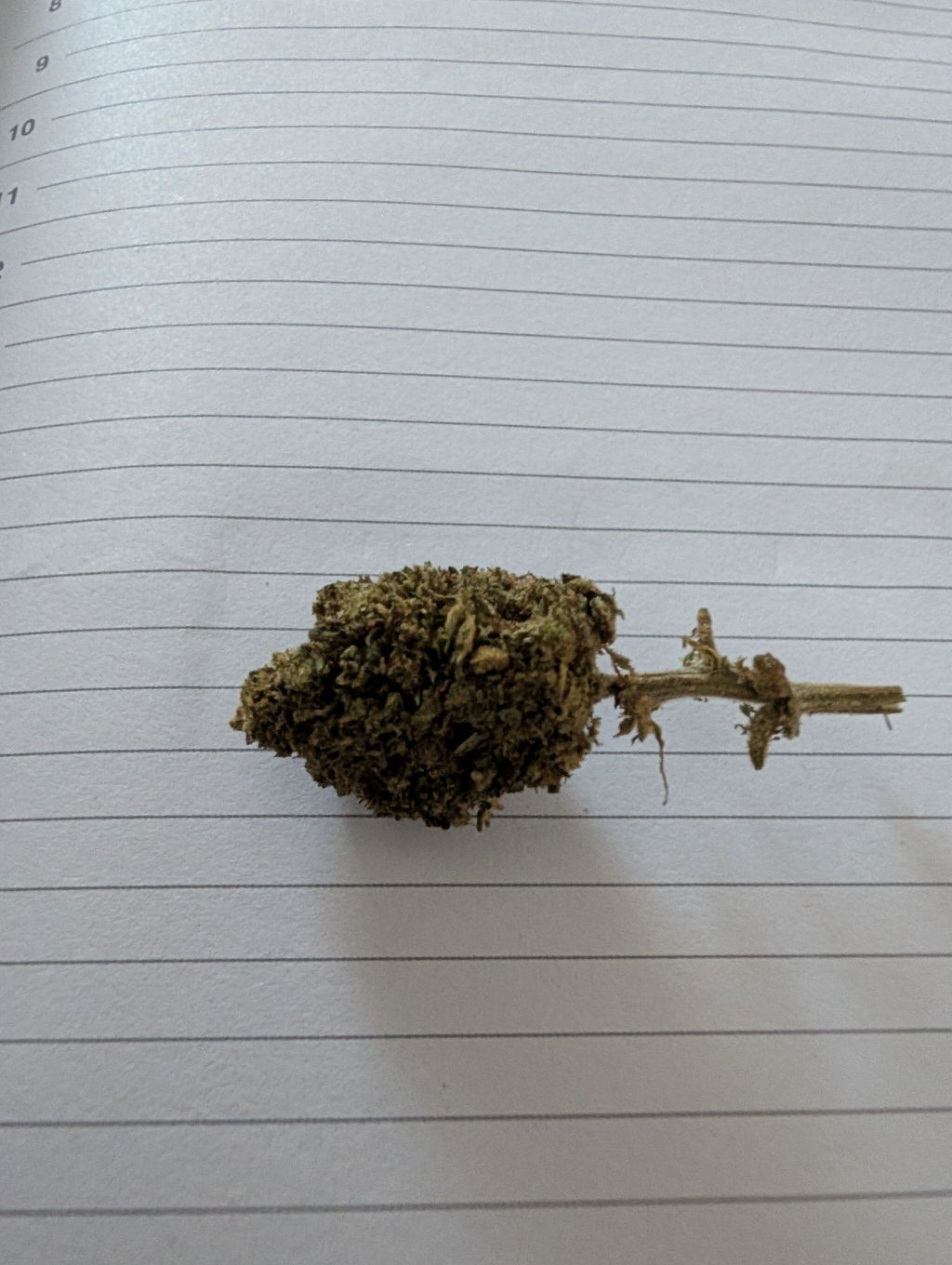 STRAWBERRY HAZE CBD+