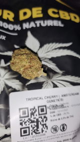 MasterDave review photo