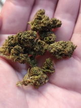Anonyme review photo