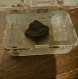 Cedrik review photo