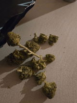 Chik review photo