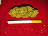 Xavier Neant review photo