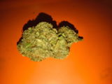 Xavier Neant review photo