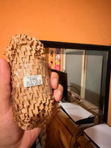 Roger Guzman review photo