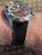 Bill Schiffmann review photo