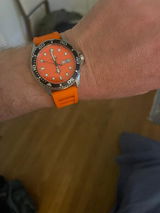 Davin B. review photo