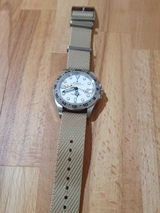 Steve G. review photo