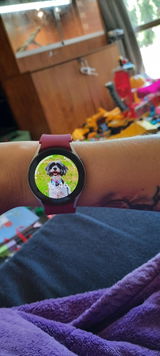 Viv Z. review photo
