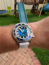 Scott S. review photo