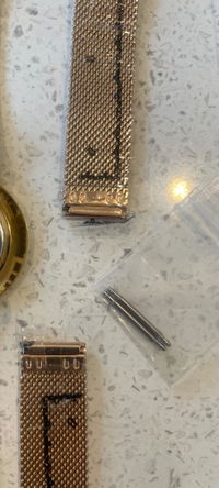 Bonus 2x Spring Bars/ Pins