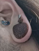 LR review photo
