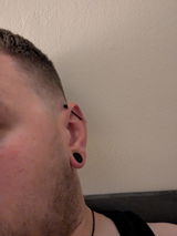 Dan M review photo