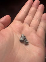 P.G. review photo