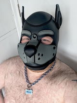 Pup Amatus review photo