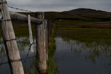 Hari S. review photo