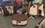 Rebeca L. review photo