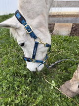 Customer Chris W. review photo