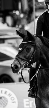 Marie review photo
