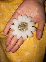 Yuvraj Verma review photo