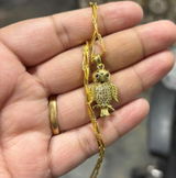 Devyansh Laroia review photo