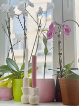 Slavena Nikolova review photo