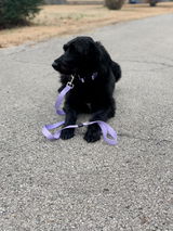 Braelyn Eckman review photo