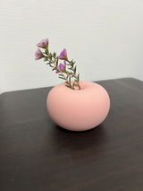 Studio1156 Customer review photo
