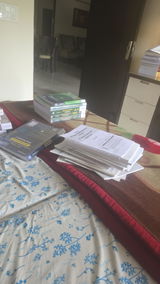 Sona review photo