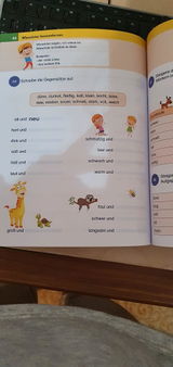 Sib review photo